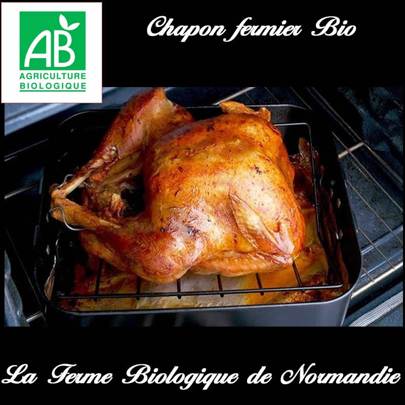 chapon fermier bio