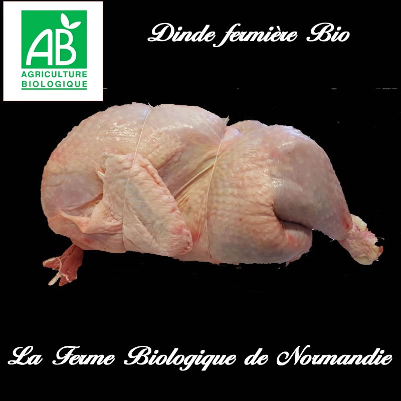 dinde fermière bio