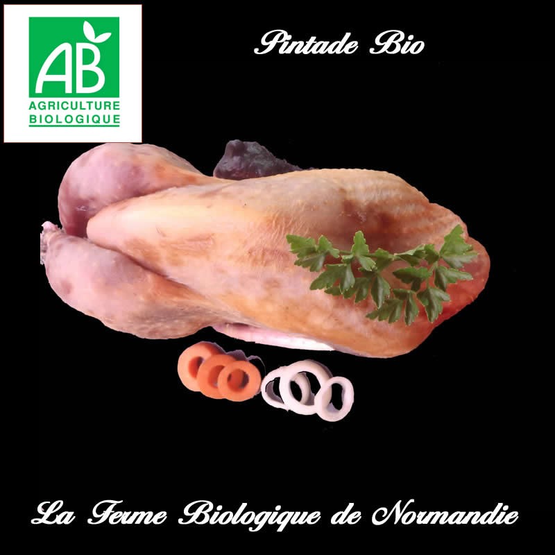 pintade bio