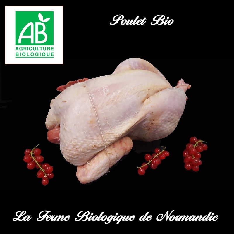 poulet fermier bio