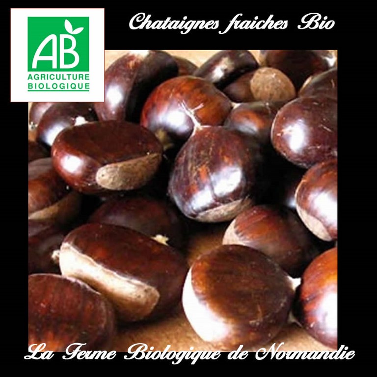 Chataignes bio fraiches