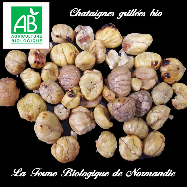 Chatagines bio grillées feu de bois