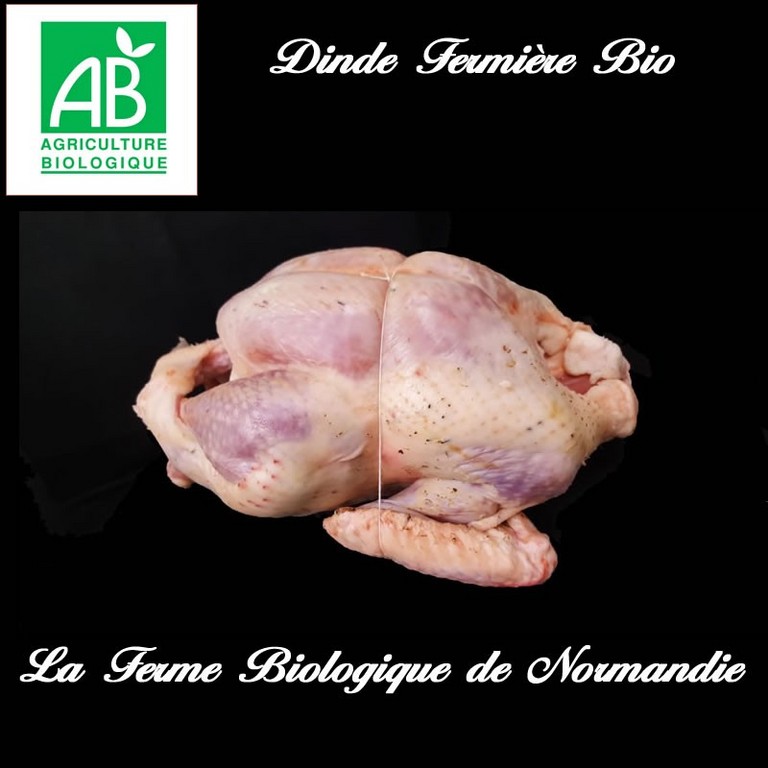 Dinde fermière bio en direct du producteur