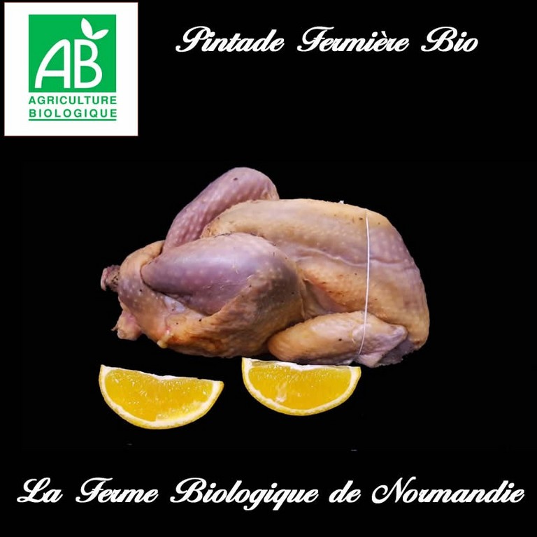 Pintade fermiere bio 