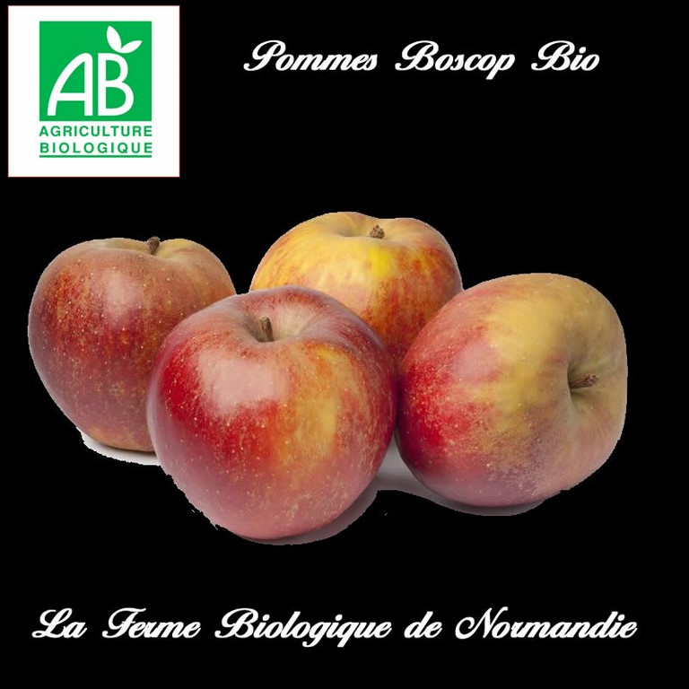 Pommes boscop bio