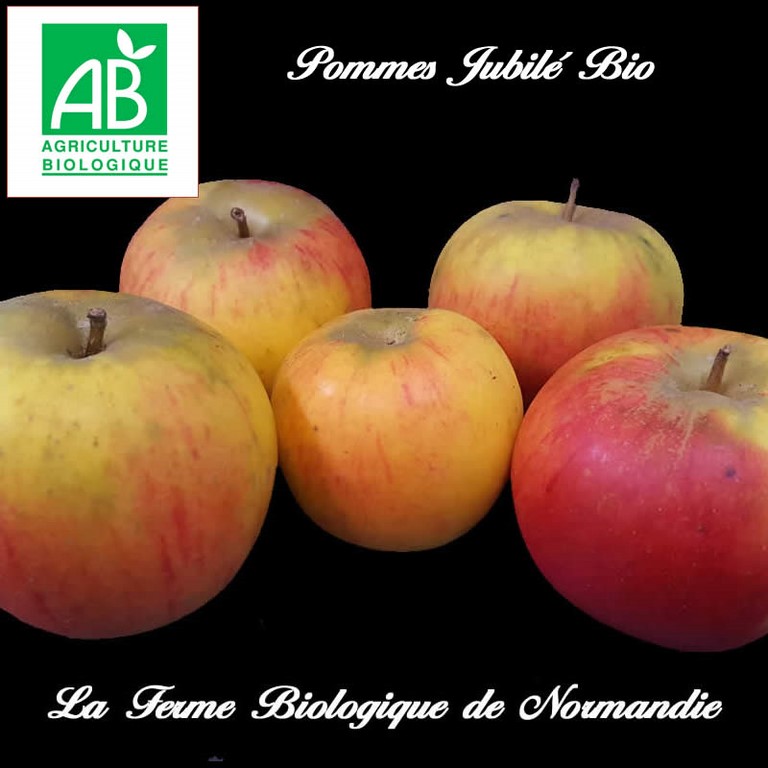 Pommes jubilé bio