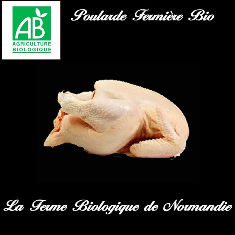 Poularde fermière bio 