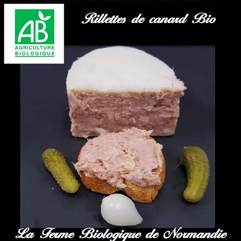 Rillettes de canard bio