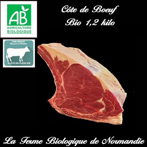 Entrecote de boeuf d'herbe bio