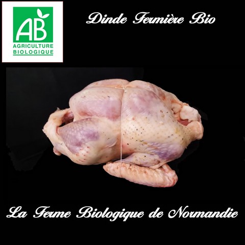 dinde fermière bio