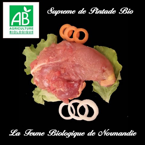 Filet pintade fermière bio 200g