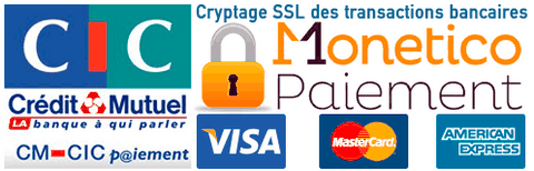 Paiement sécurisé en ligne 