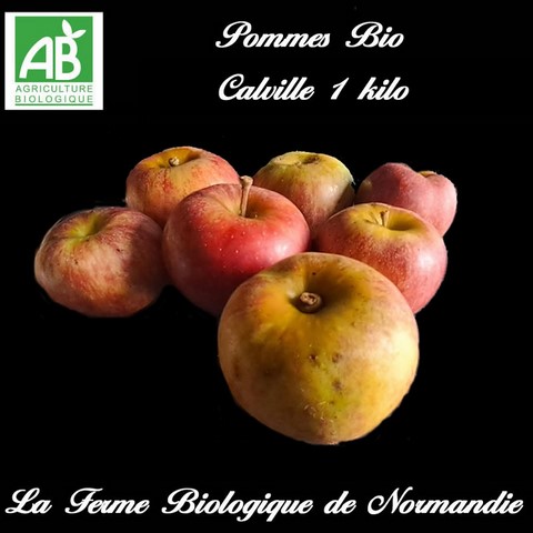 Pommes calville bio