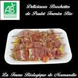 Brochettes de poulet bio