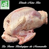 Dinde fermière noire bio