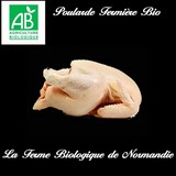 Poularde fermière bio 